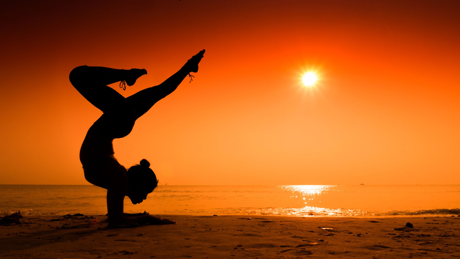 Wellness Retreat Package