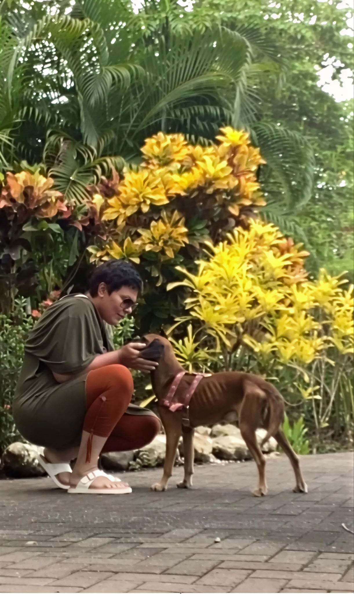 Private 1:1 Retreat Experiences in Costa Rica
