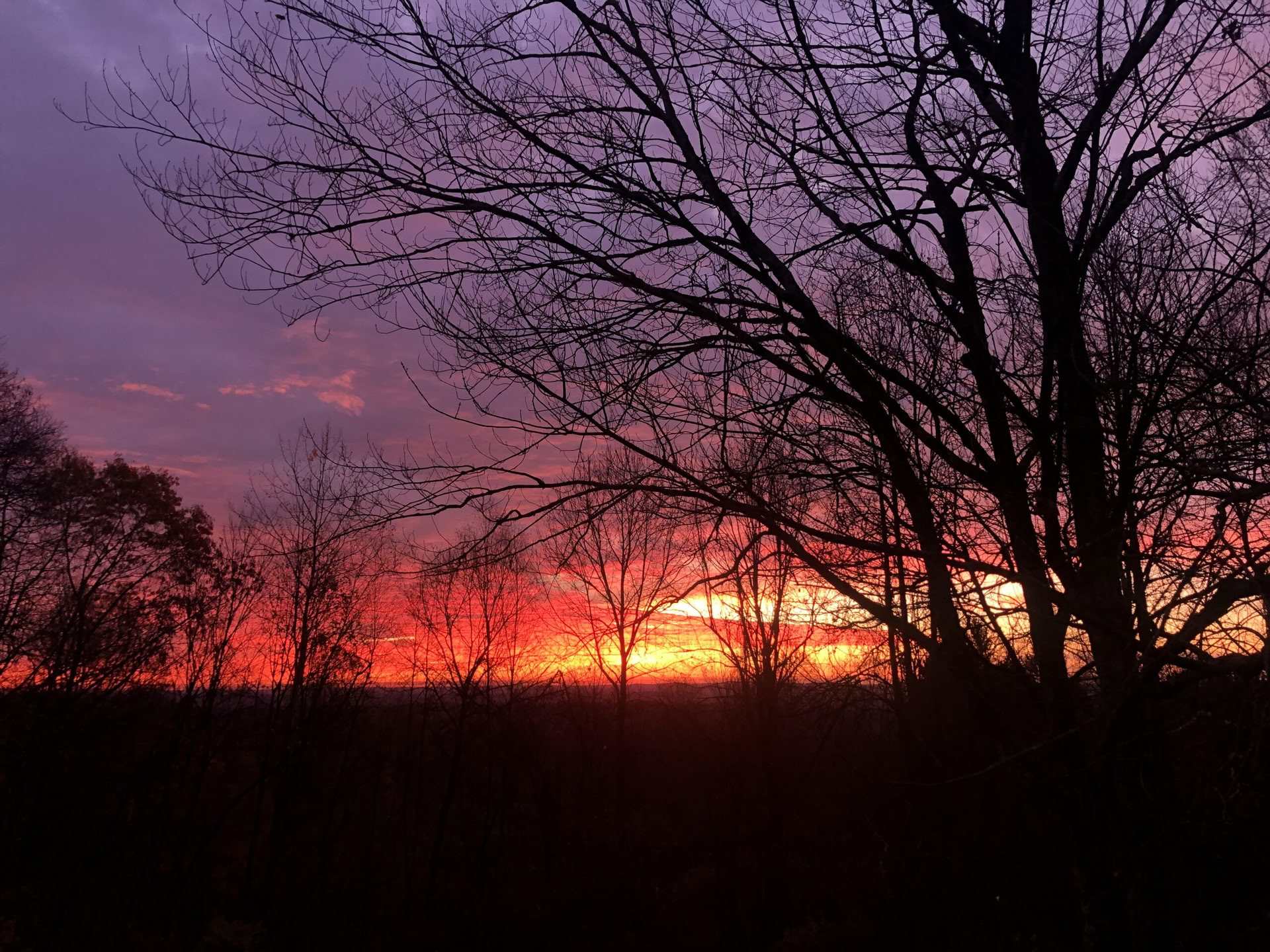 New Suns Cohort – Opening Retreat: Searching for New Suns: Engaging the Prophetic Wisdom and Imagination of Octavia E. Butler