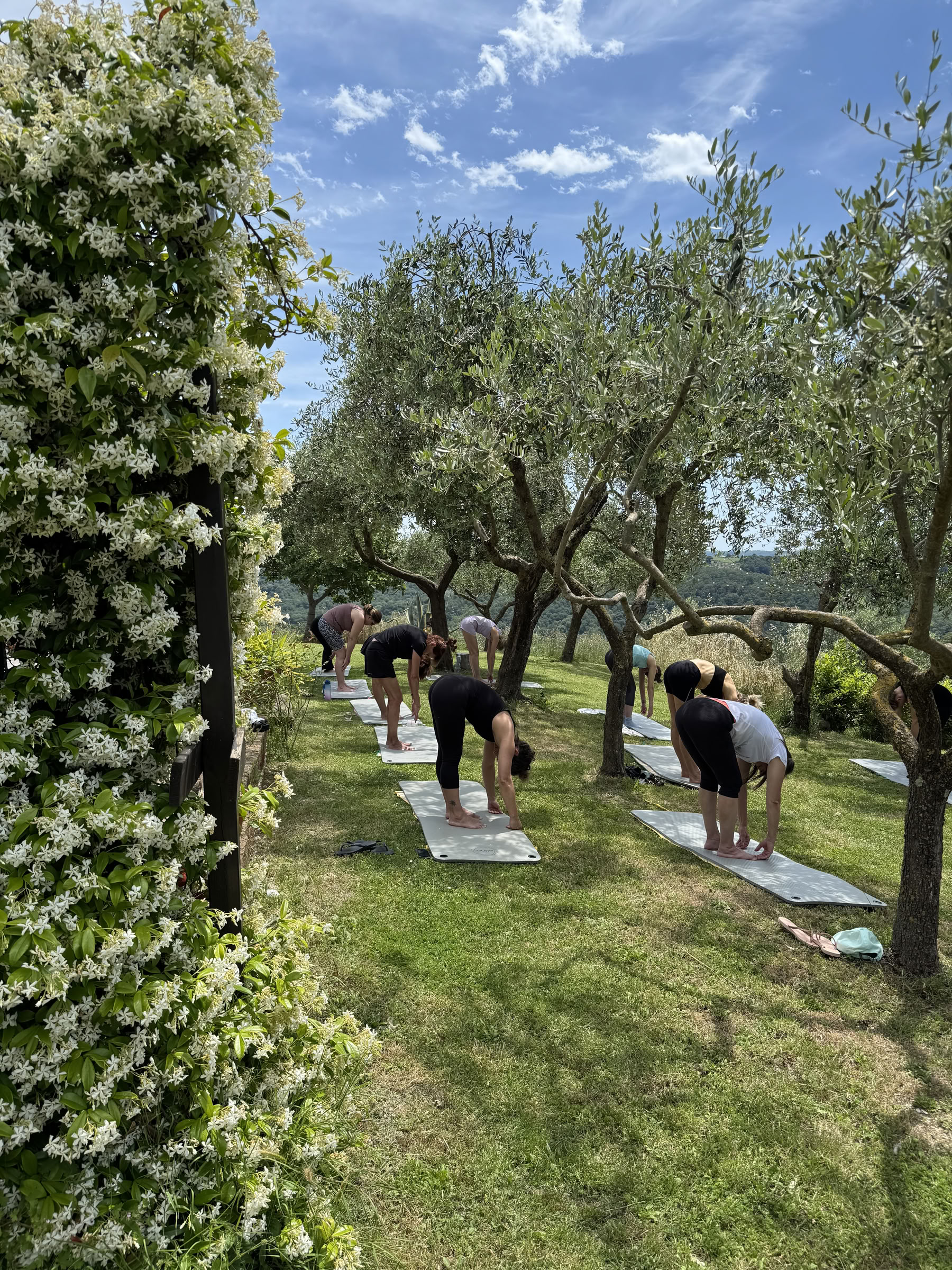 Creating Alignment | In Body and Mind Retreat