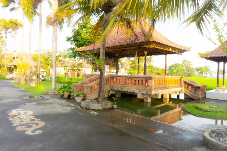 200 Hour Yoga Teacher Training Course In Bali
