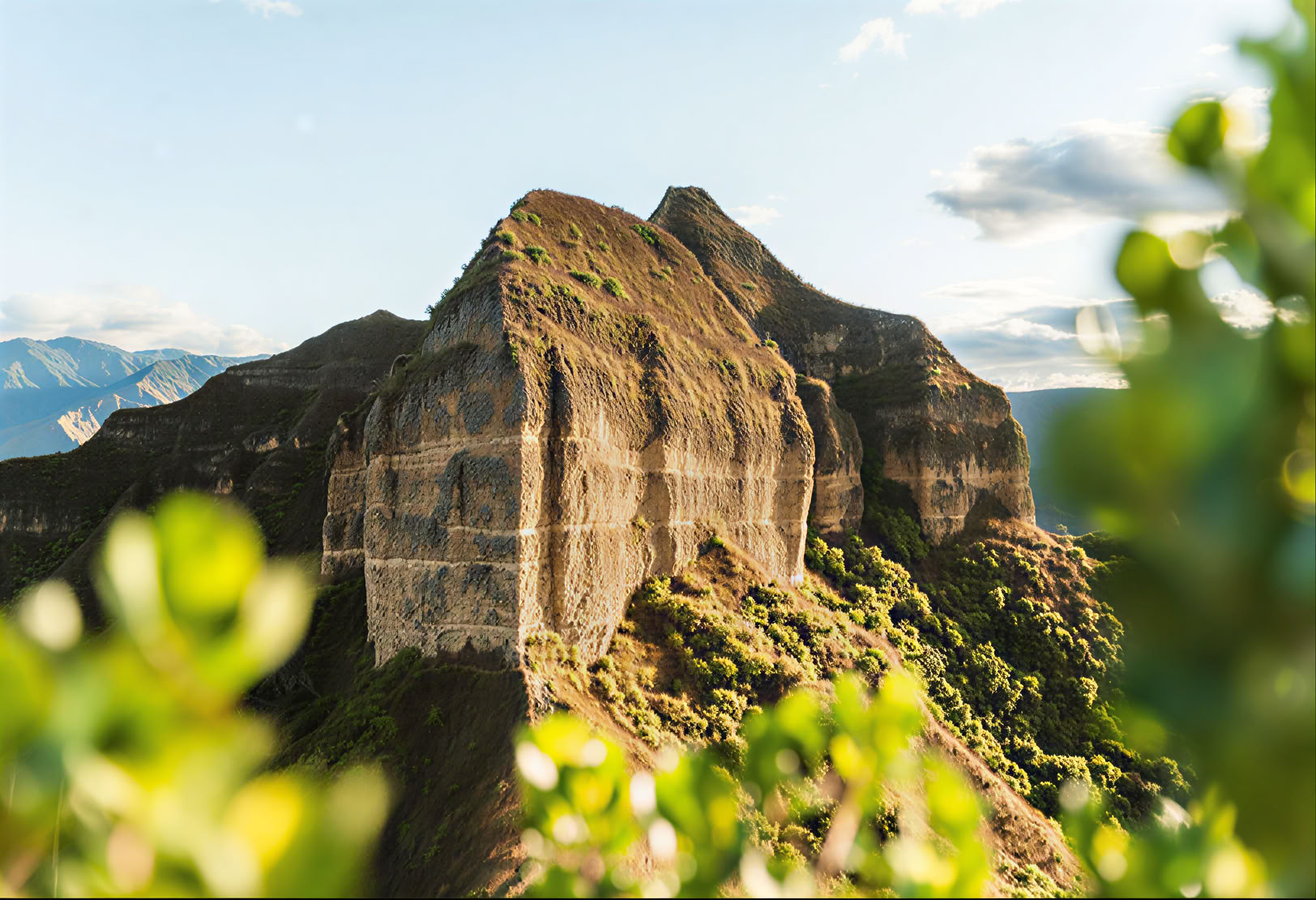 Return to the Earth: 8-Day Ayahuasca, San Pedro + Wilka Retreat