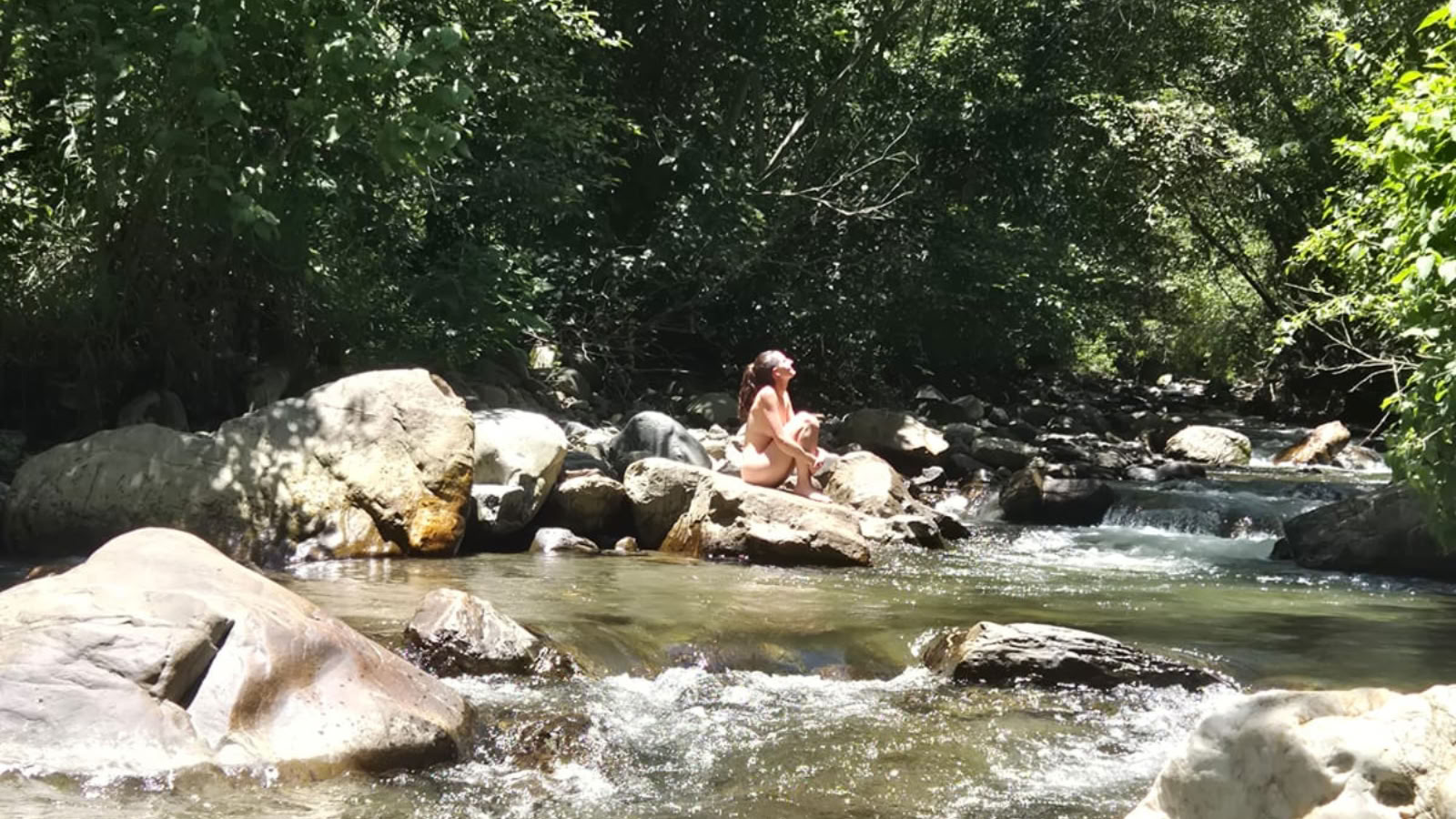 8 Day Ayahuasca + San Pedro Retreat Ecuador | Plant Medicine Retreat