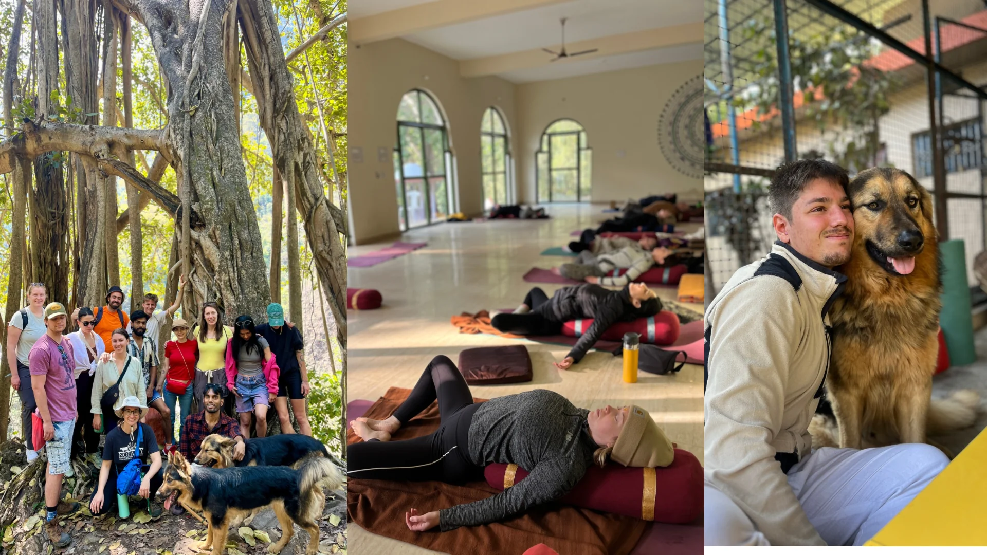 SHUNYATA: 11 Days silent awakening program.