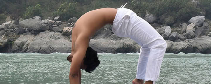 Wellness Holiday