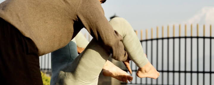 The Art of Yoga Alignment | 15 Days Program.
