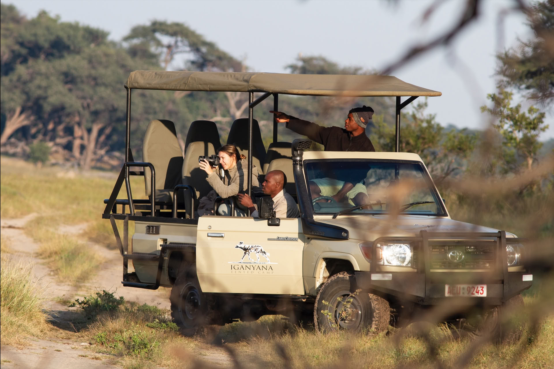 Health & Wellness Safari