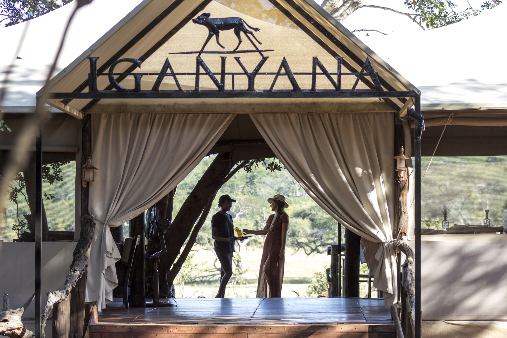 Health & Wellness Safari