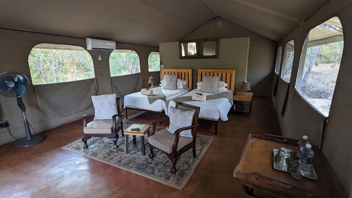 Health & Wellness Safari