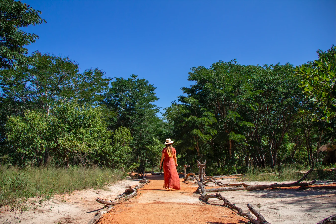 Health & Wellness Safari
