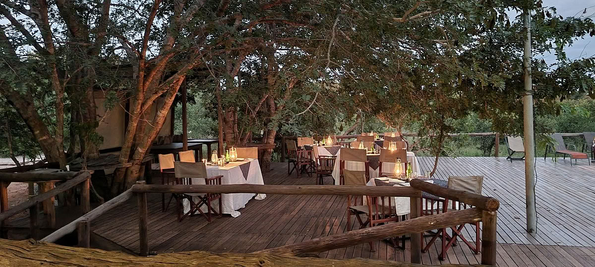 Health & Wellness Safari