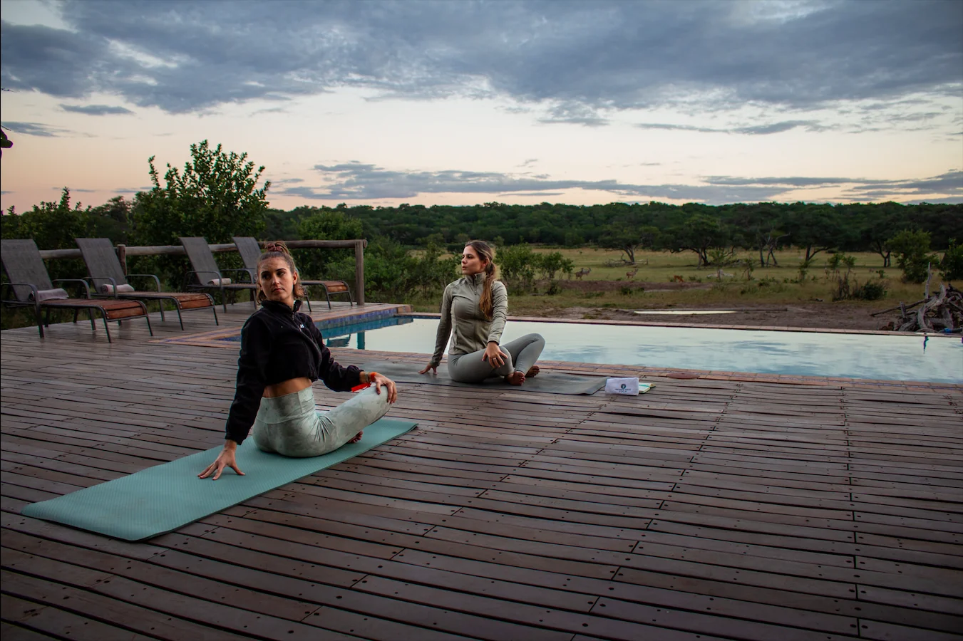 Health & Wellness Safari