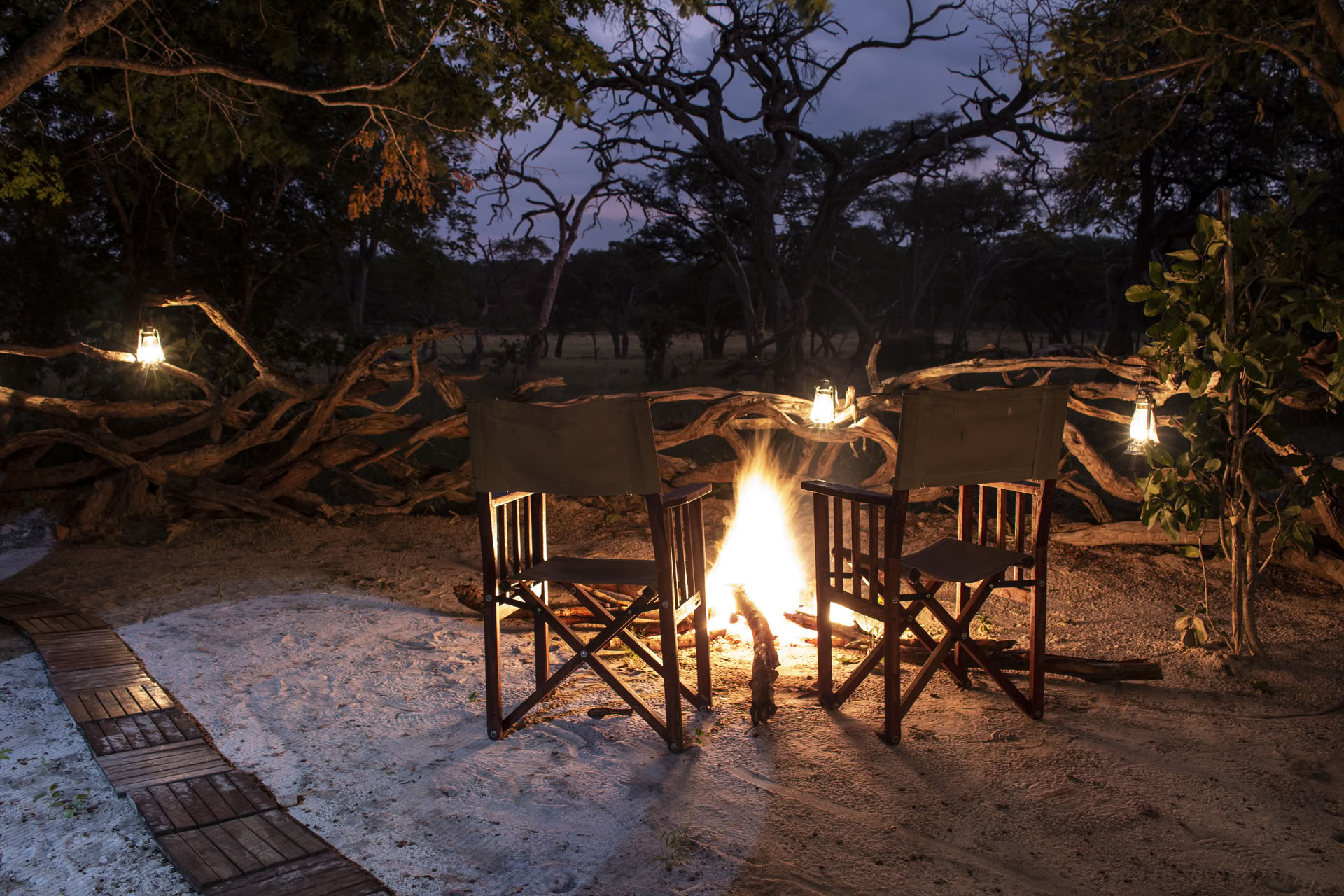 Health & Wellness Safari