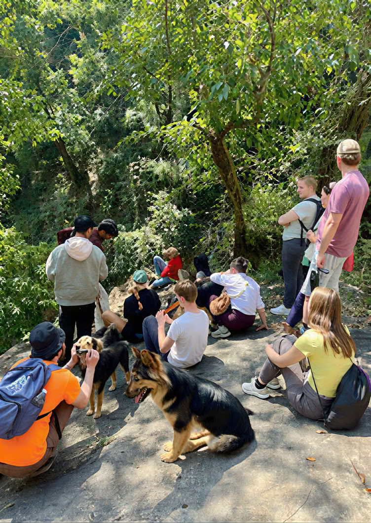 Vipasana in Rishikesh : 11 days silent awakening program.