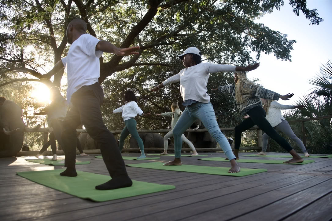 Yoga With Elephants