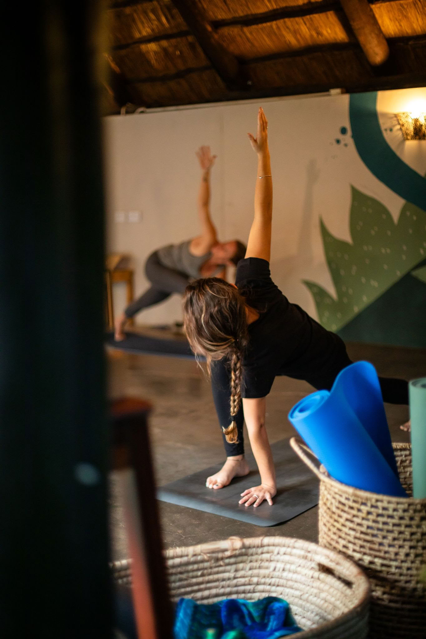 Yoga With Elephants