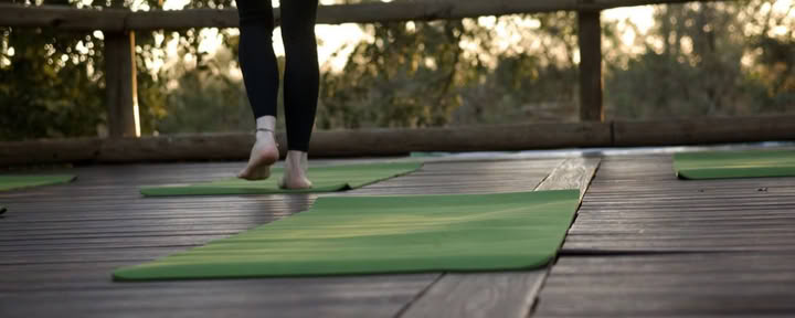 Yoga With Elephants