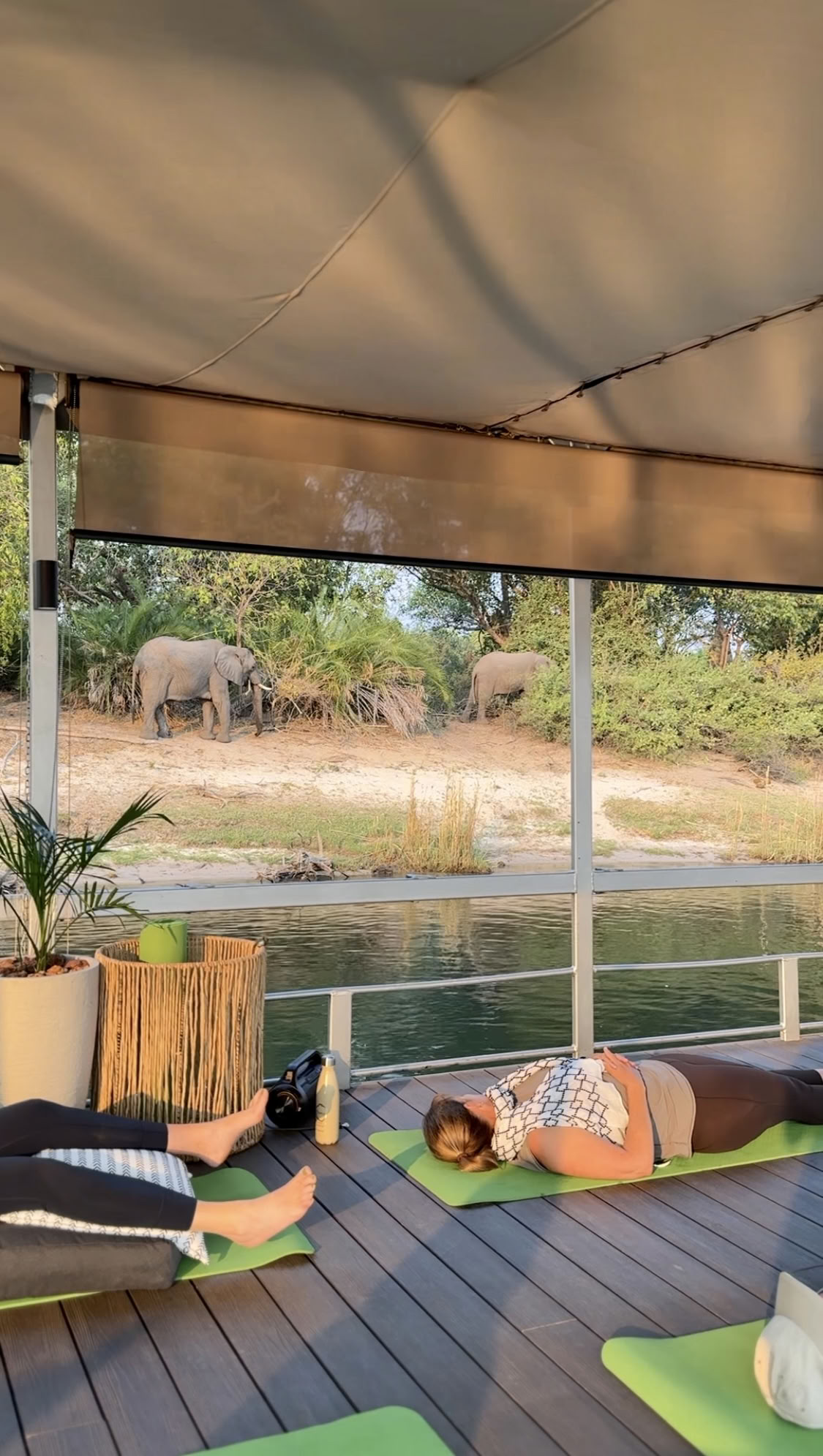 Yoga On The Zambezi