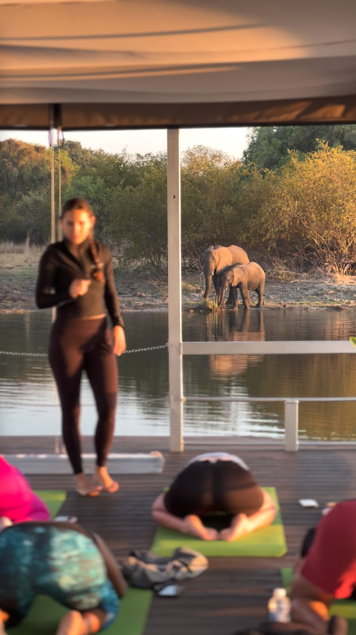 Yoga On The Zambezi