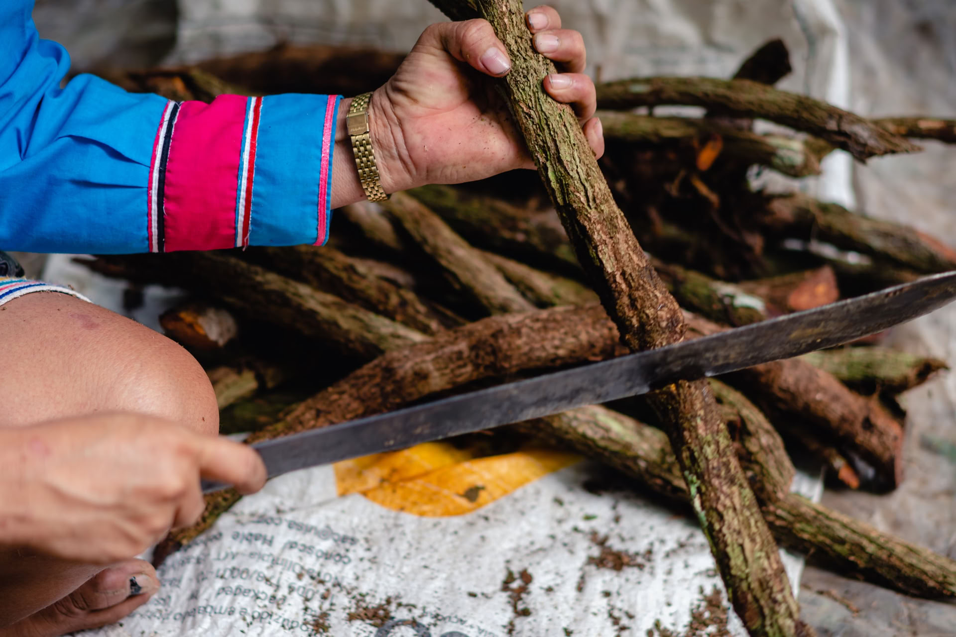 Ayahuasca August 2026 Renewal Retreat (12-Day)