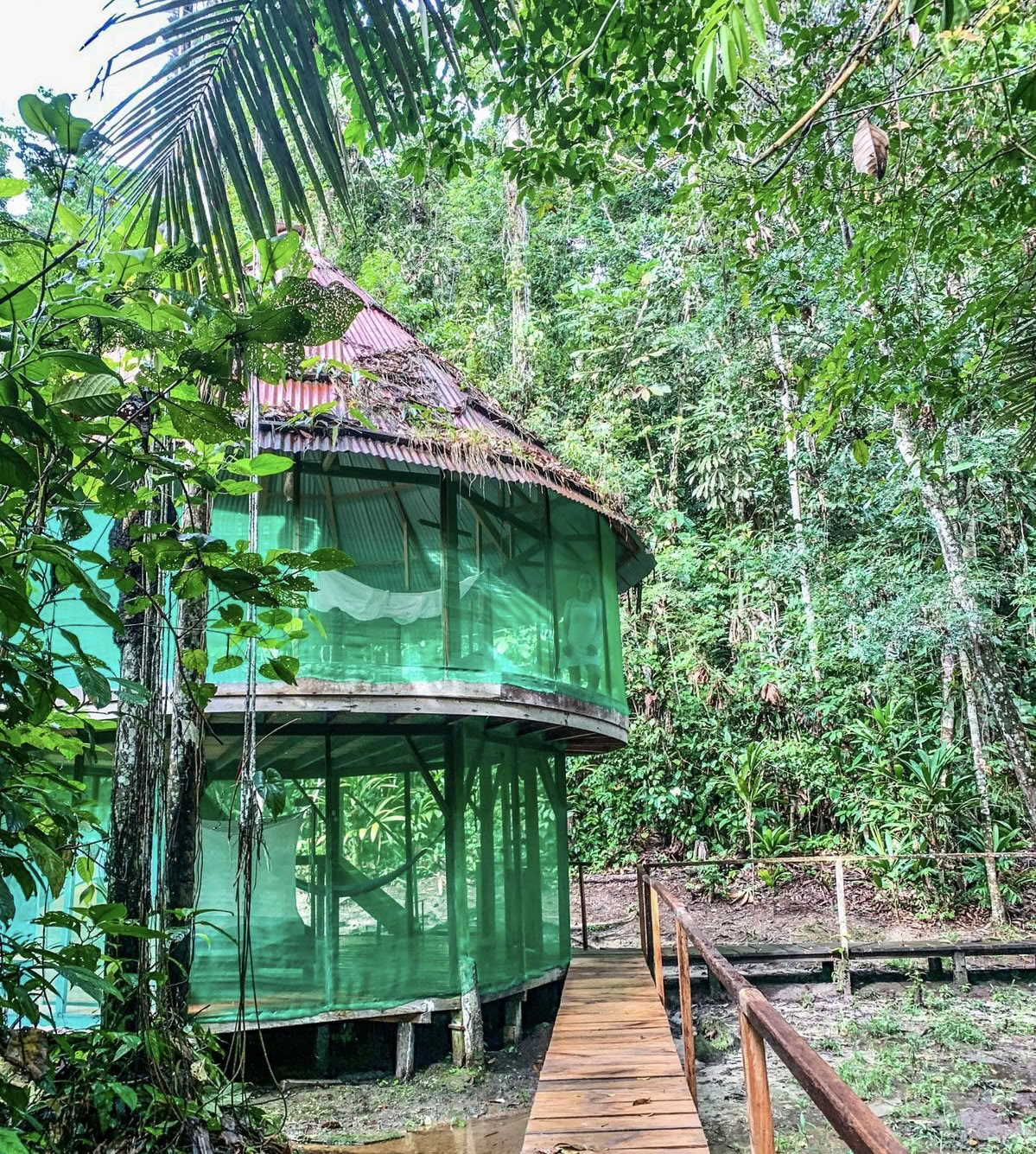 Ayahuasca August 2026 Renewal Retreat (12-Day)