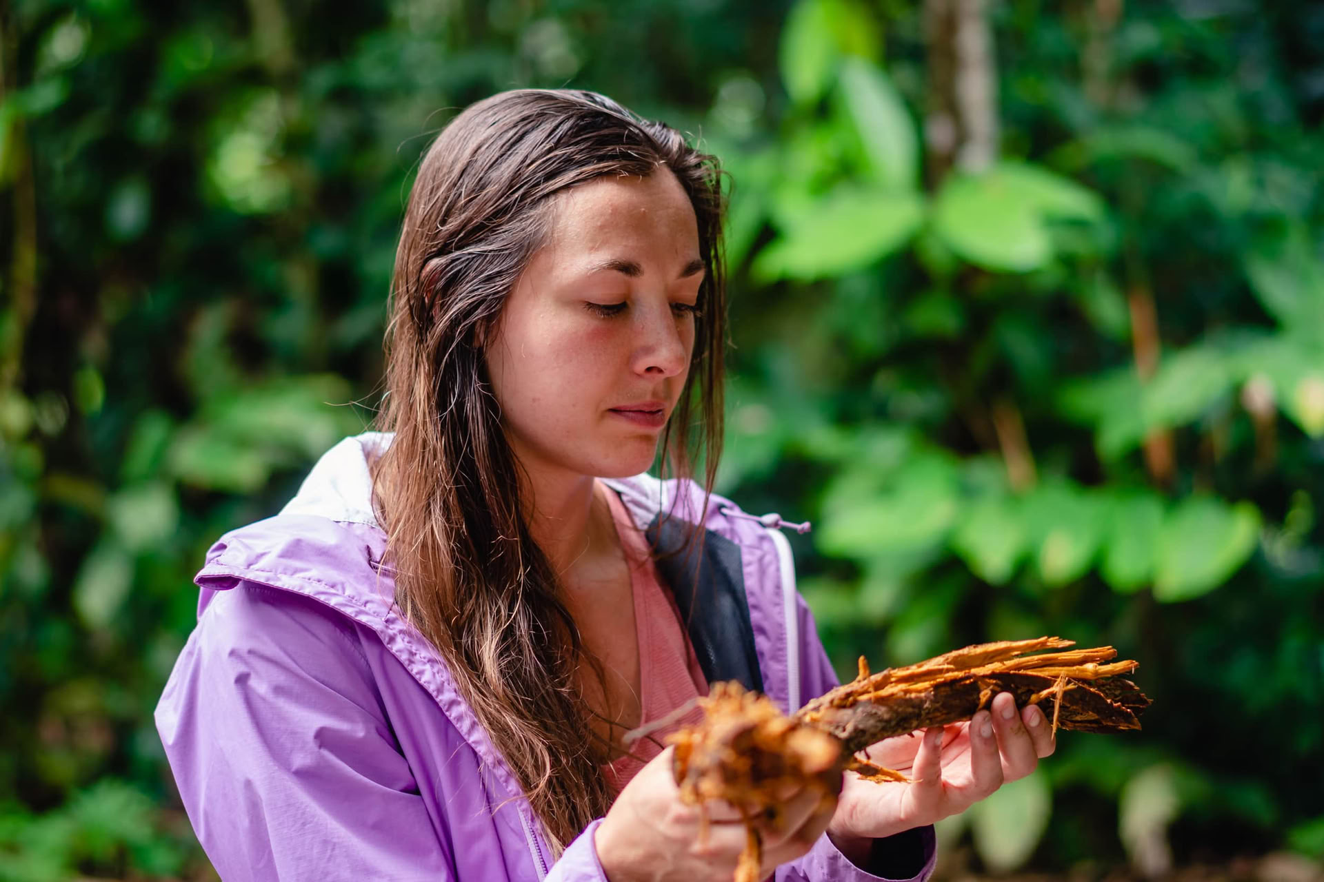 Ayahuasca August 2026 Renewal Retreat (12-Day)