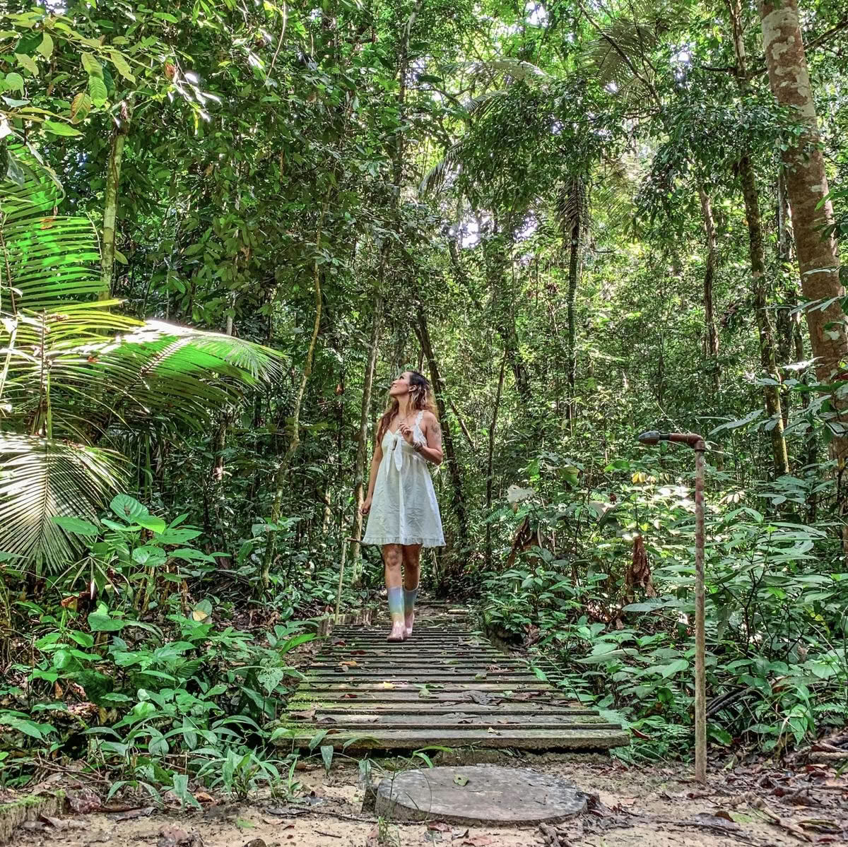 Ayahuasca September 2026 Renewal Retreat (8-Day)