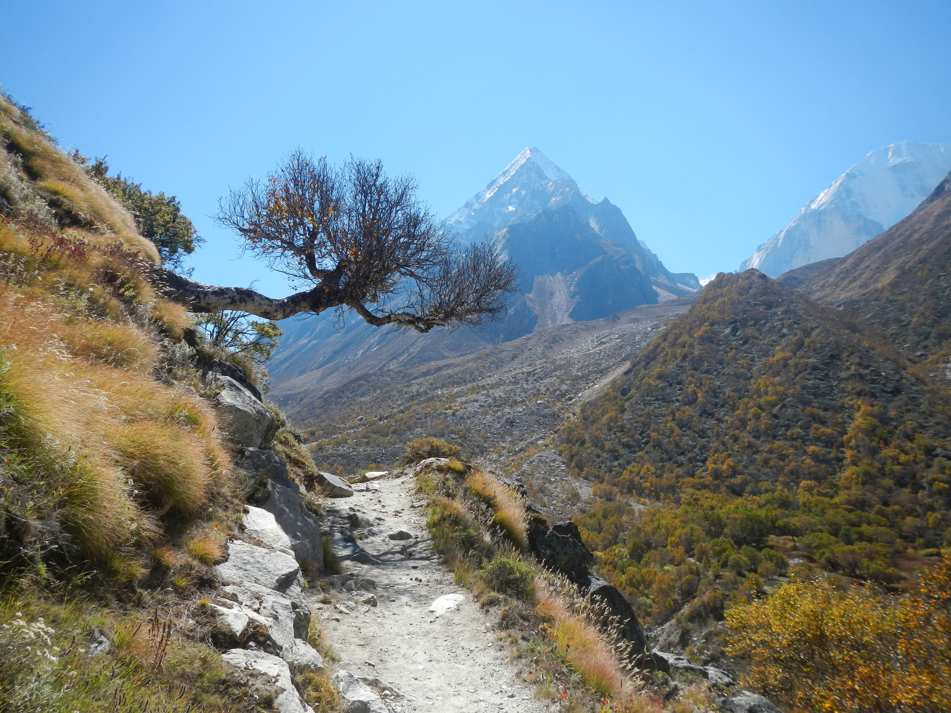 Gaumukh Tapovan Trek (17/06-22/06)