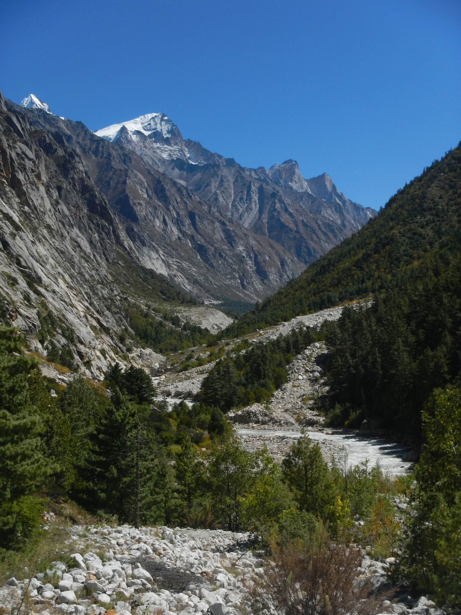Gaumukh Tapovan Trek (17/06-22/06)