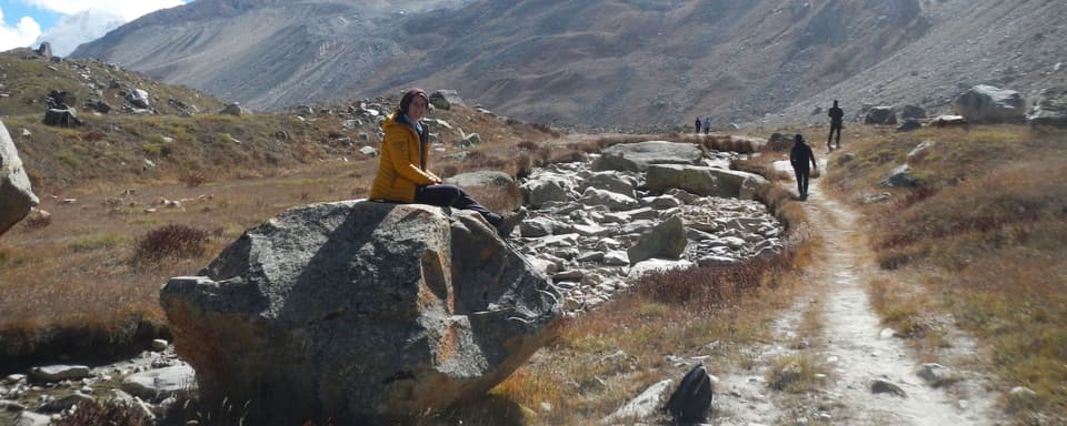 Gaumukh Tapovan Trek (17/06-22/06)