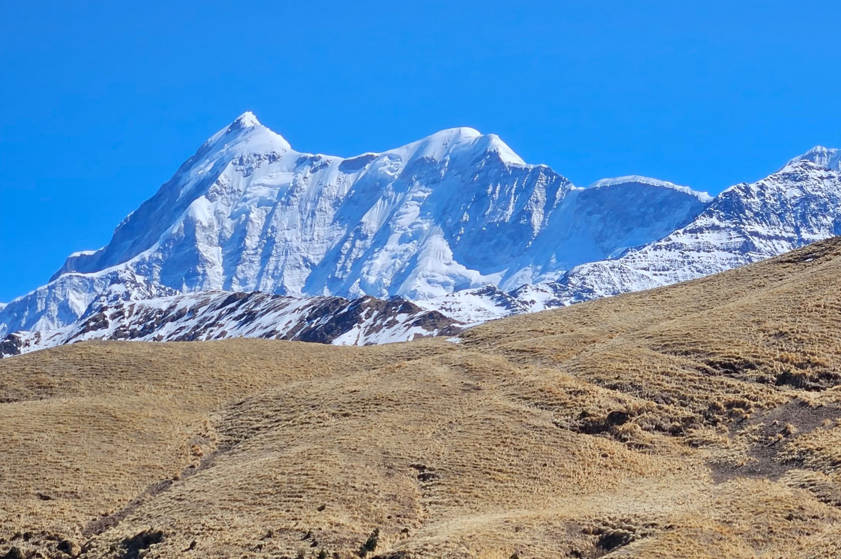 Bedni Bugyal Trek – June 2nd to 6th, 2026