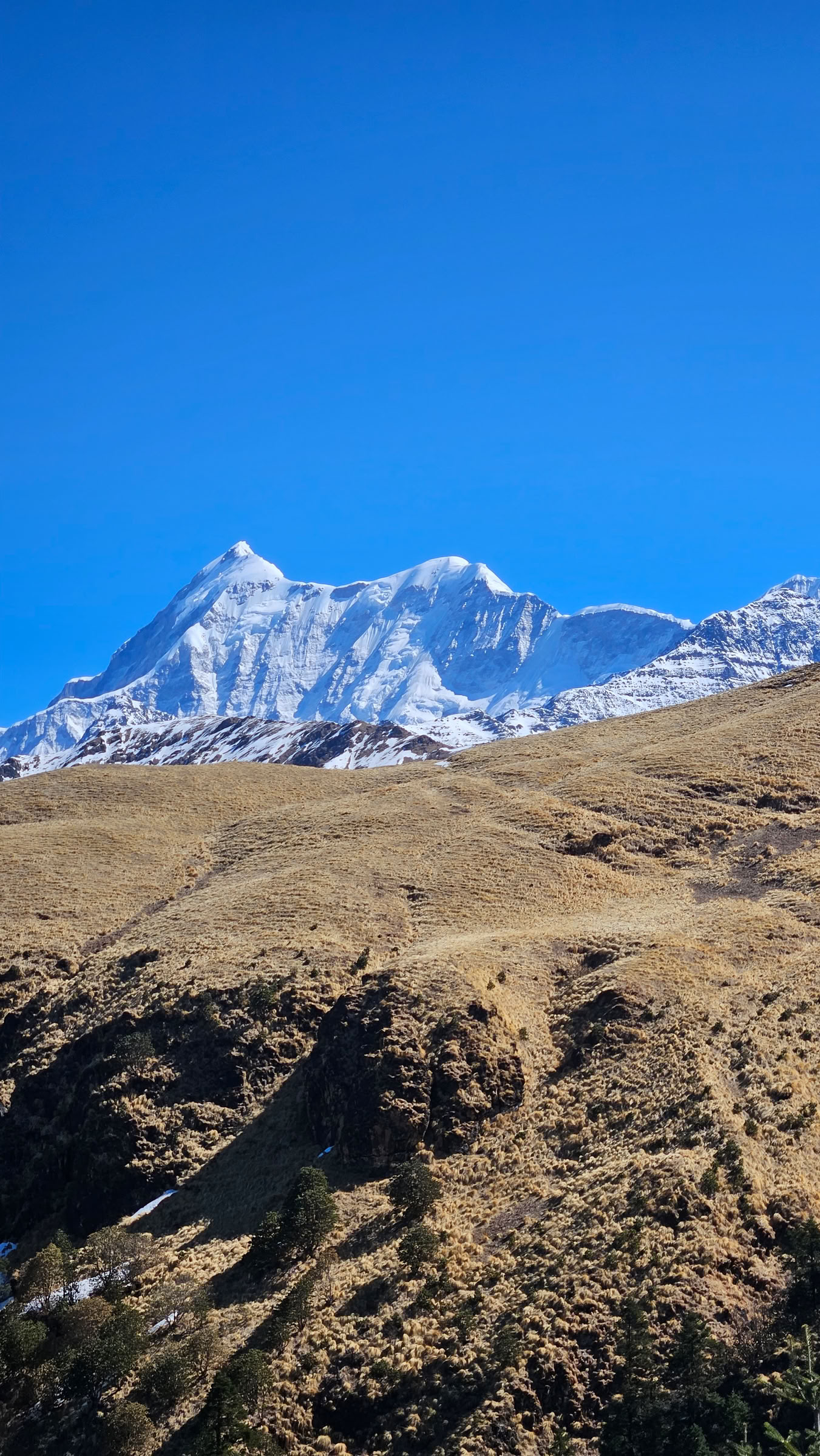 Bedni Bugyal Trek – July 9th to 13th, 2026