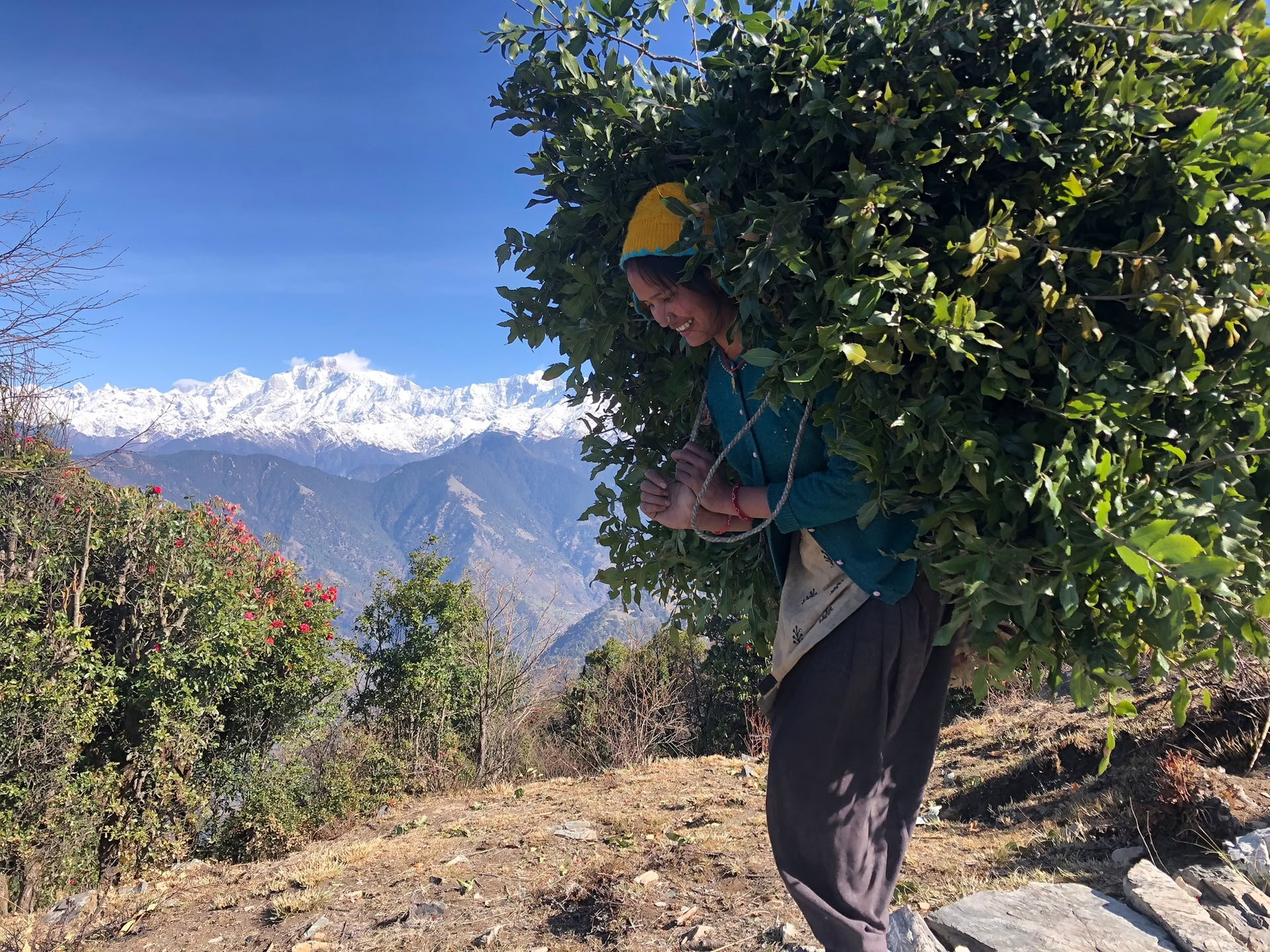 Chopta Tungnath trek