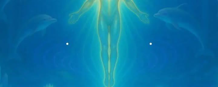 Dolphin frecuency meditation