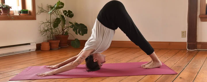 Traditional Hatha Yoga (8:30am - 9:30am)