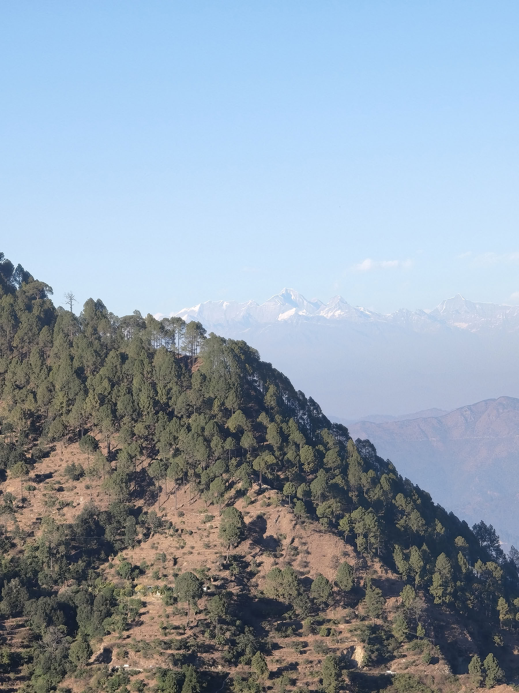 Anumati Retreat (May 2026)