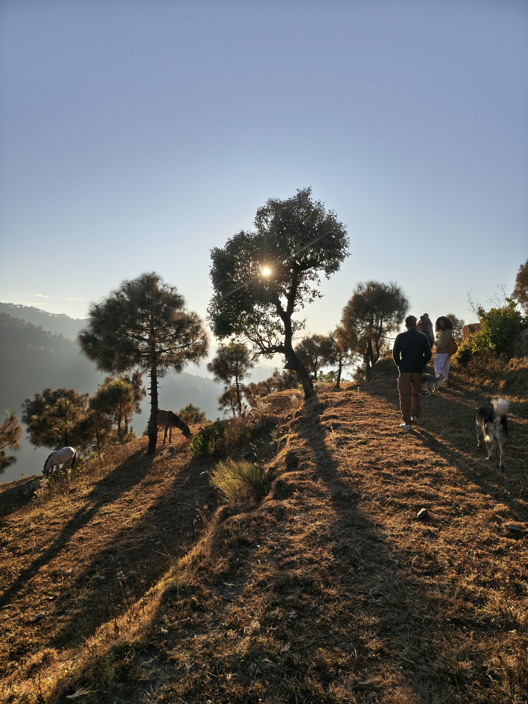Anumati Retreat (May 2026)