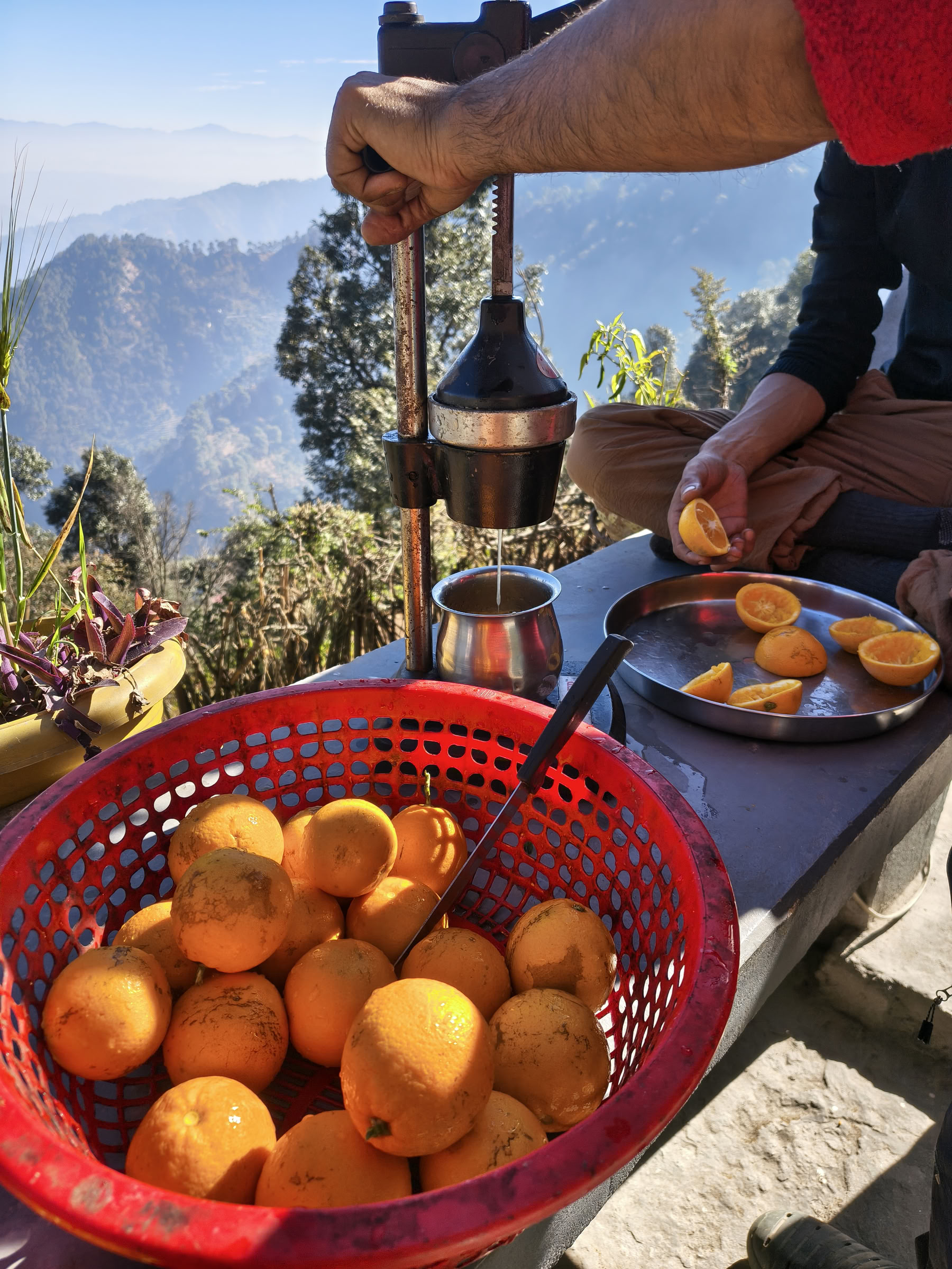 Anumati Retreat (May 2026)