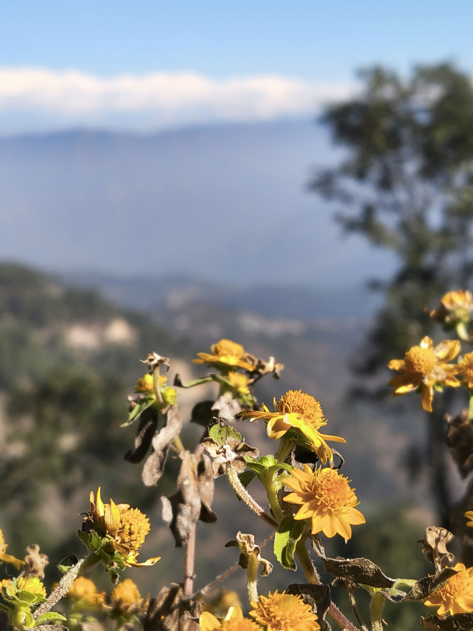 Anumati Retreat (May 2026)