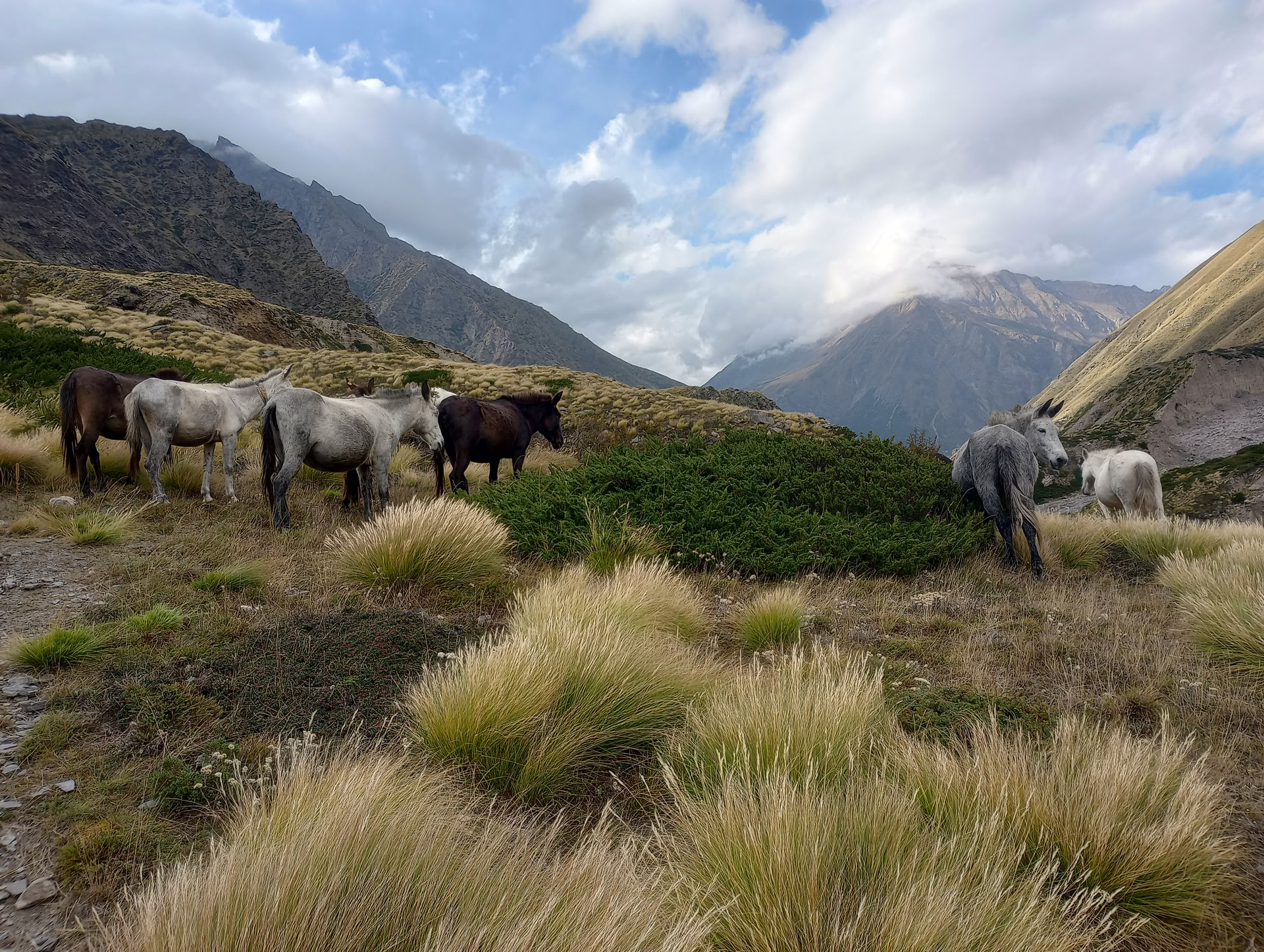 Nanda Devi & Milam Glacier Trek