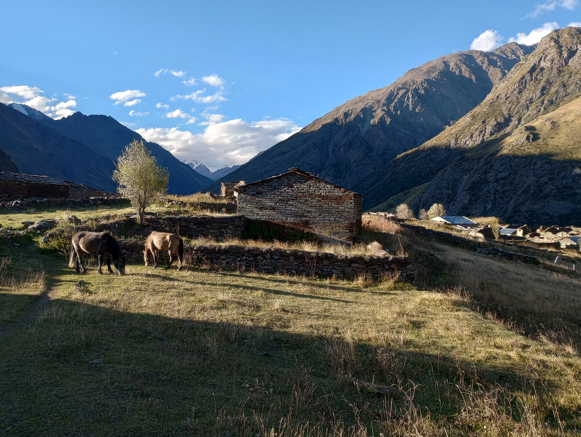 Nanda Devi & Milam Glacier Trek