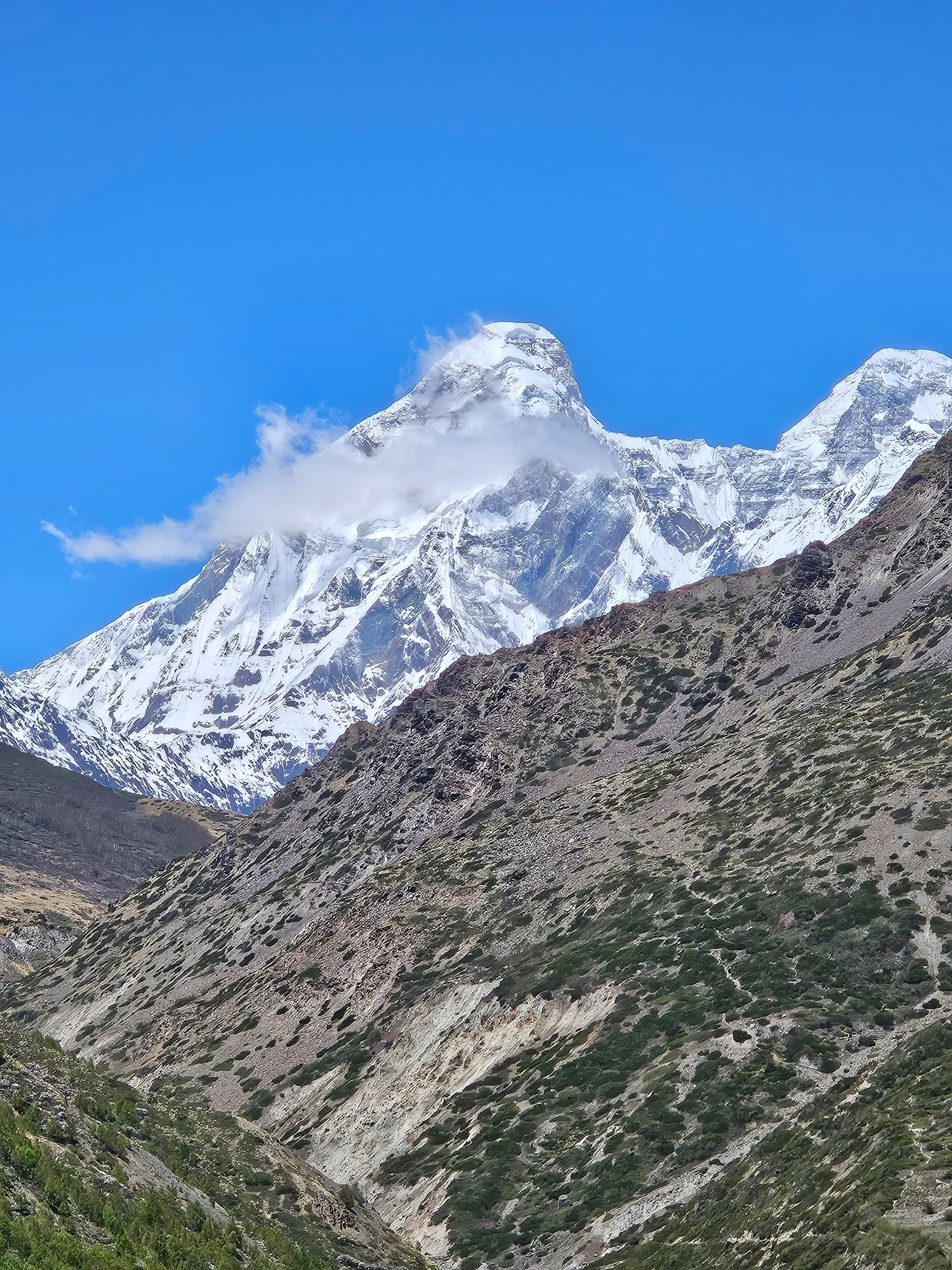 Nanda Devi & Milam Glacier Trek