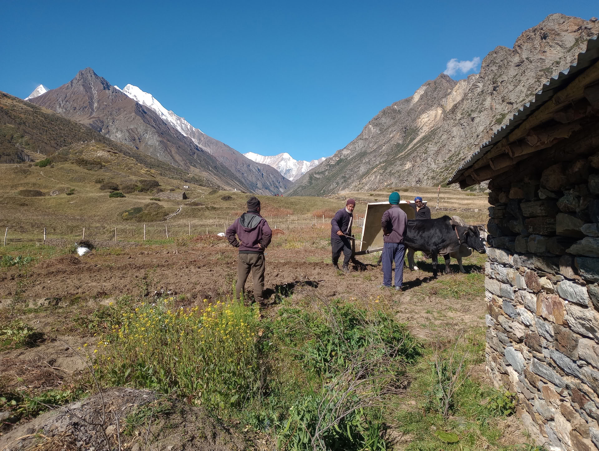 Nanda Devi & Milam Glacier Trek