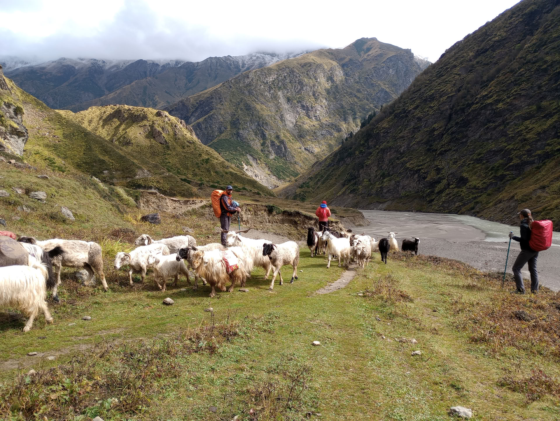 Nanda Devi & Milam Glacier Trek