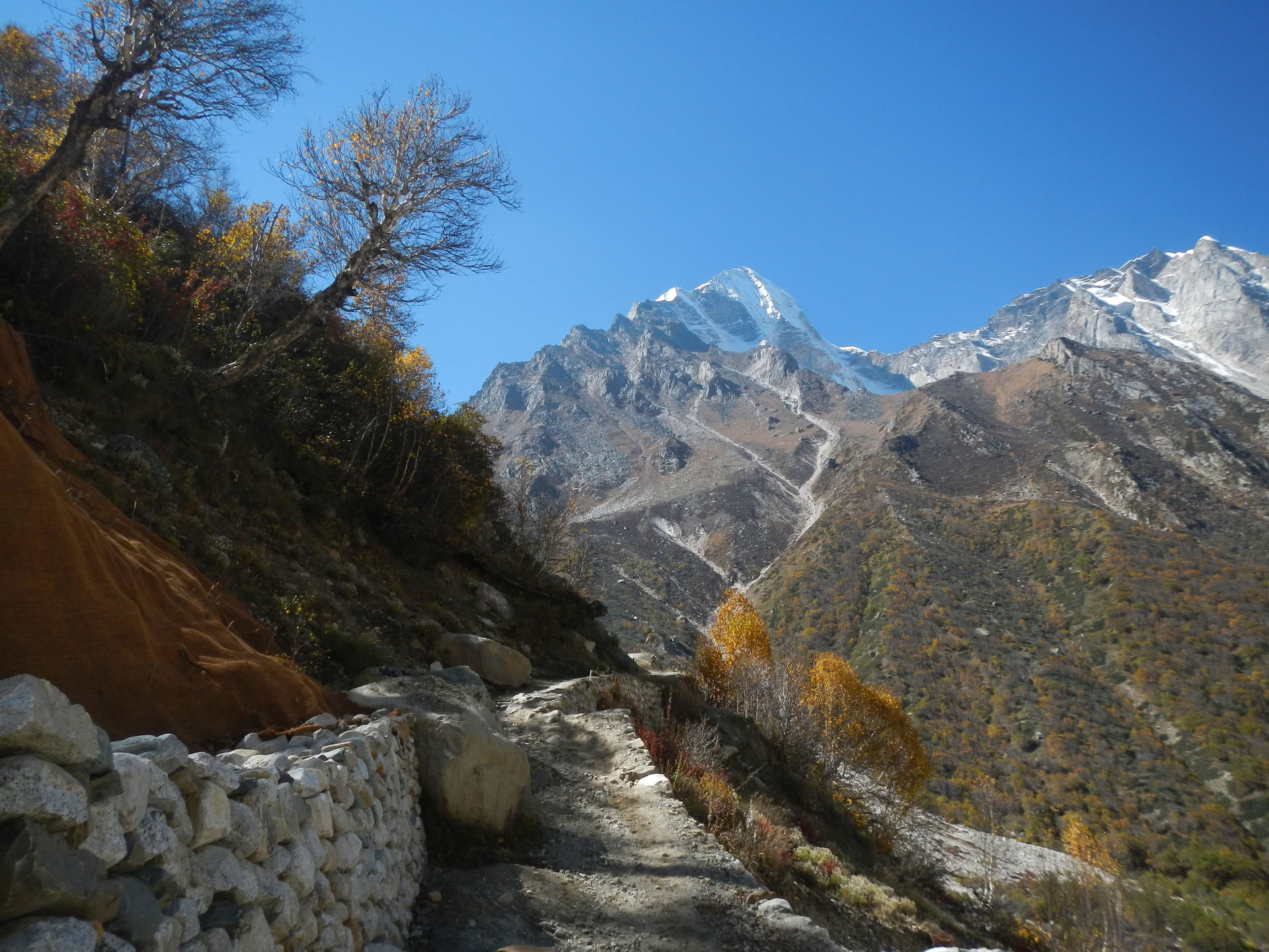 Gaumukh Tapovan