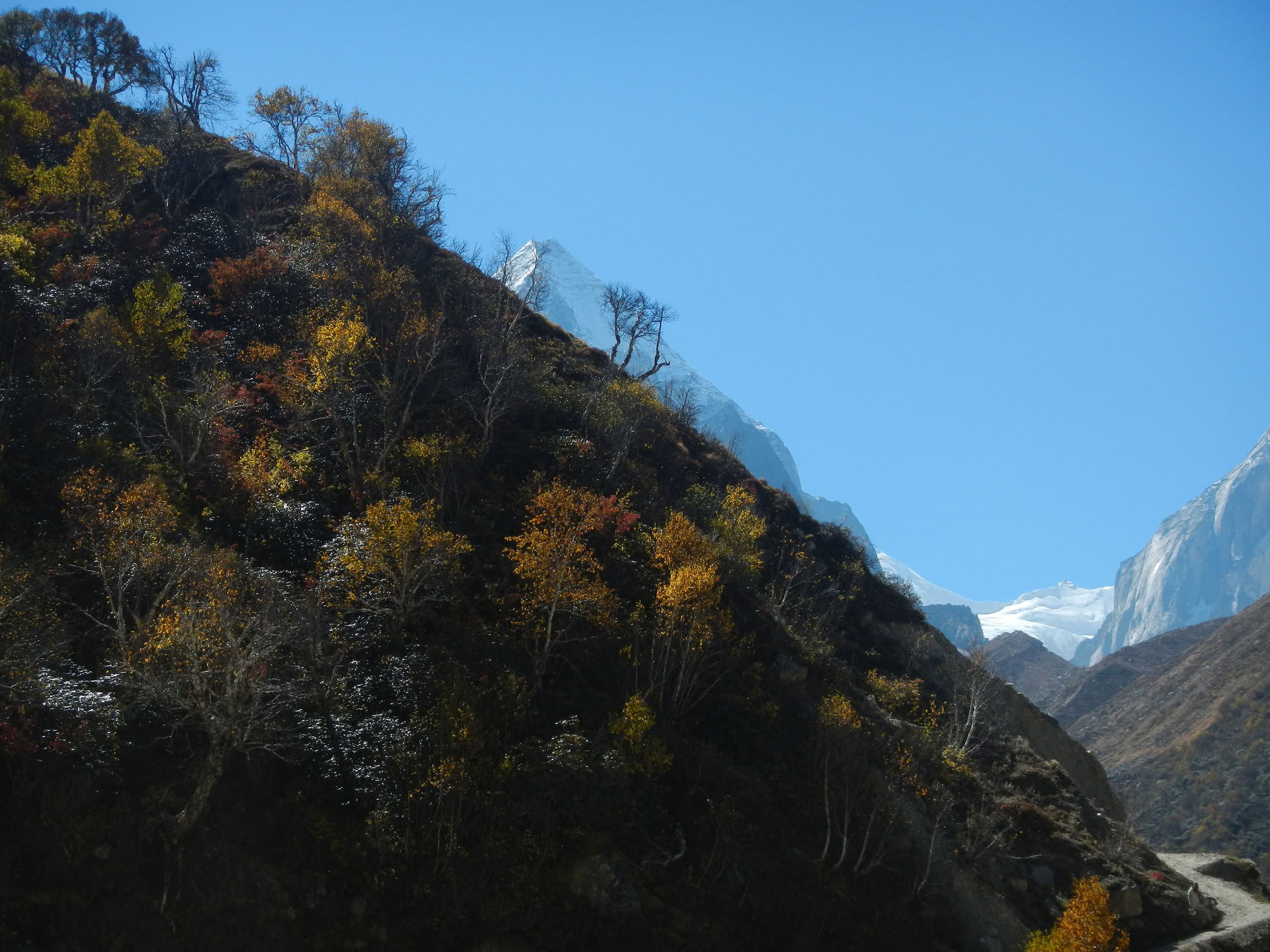 Gaumukh Tapovan