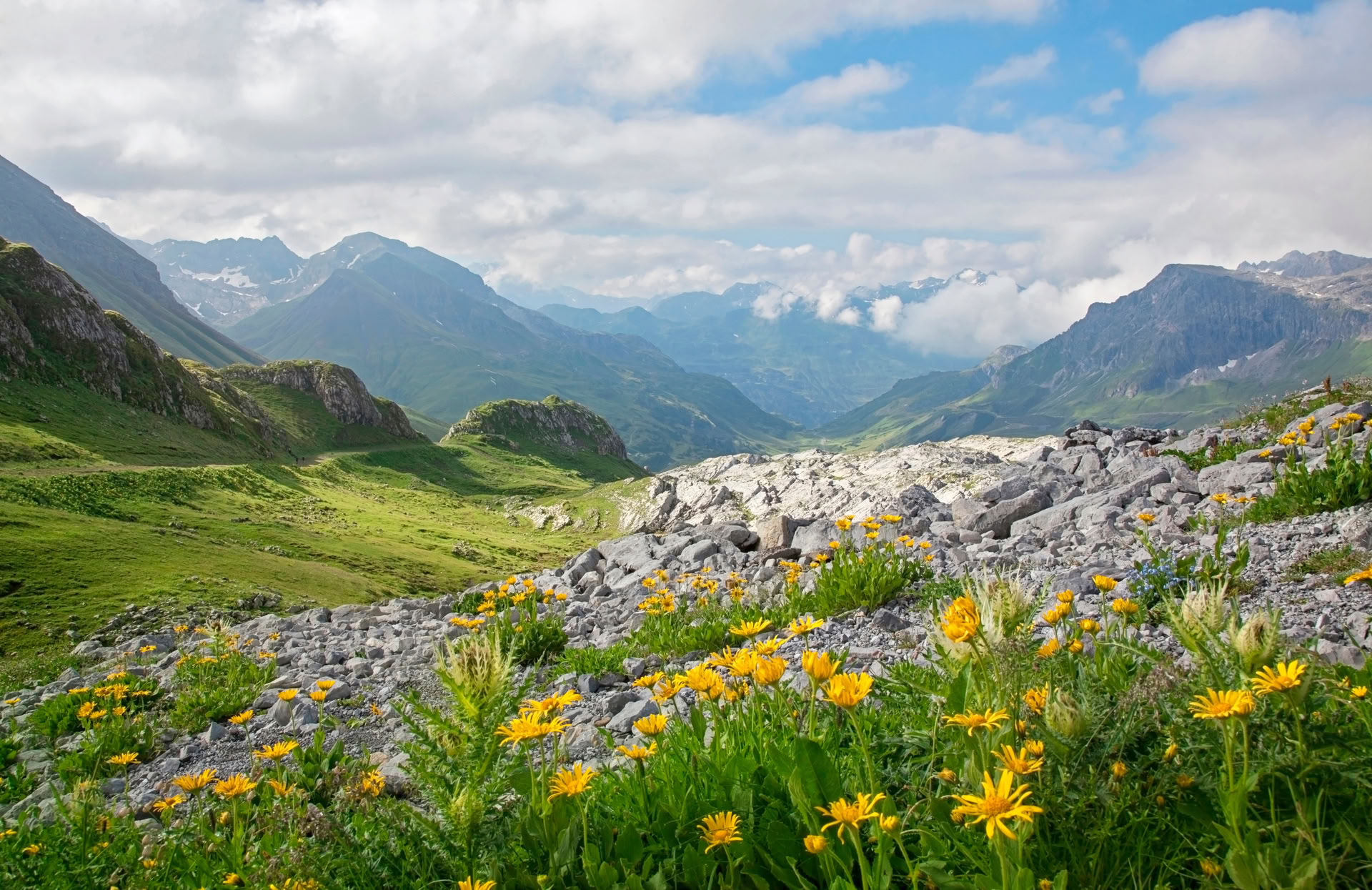 Valley of Flowers Trek