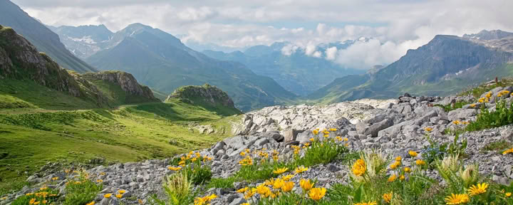 Valley of Flowers Trek