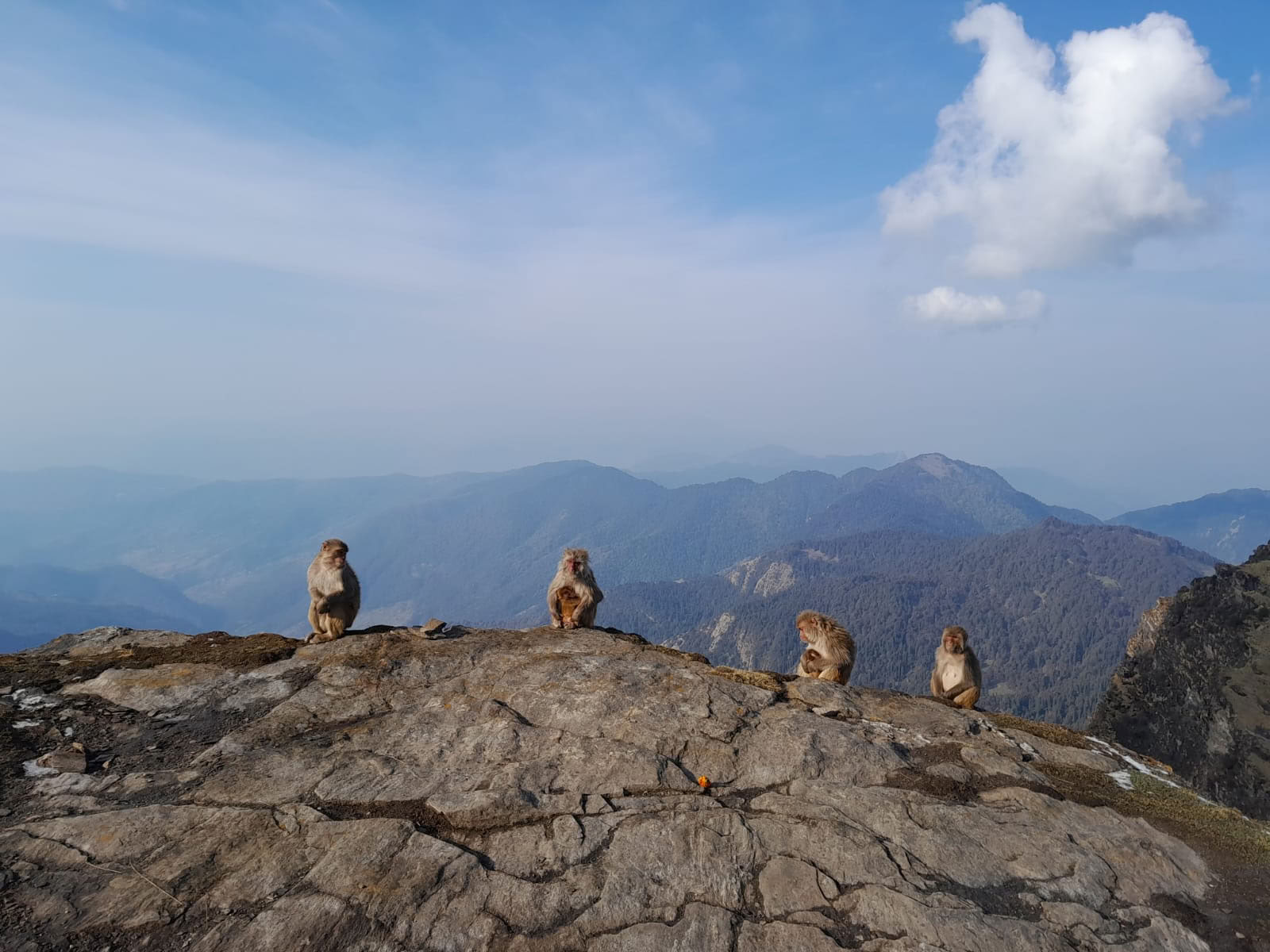 Chopta-Tungnath Trek