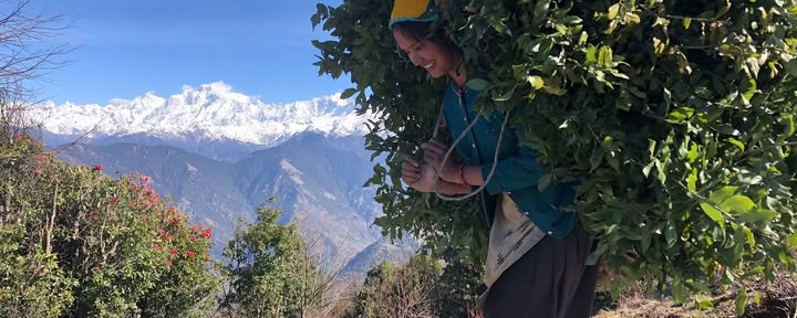 Chopta-Tungnath Trek
